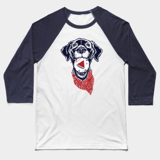 Fenway Baseball Dog Baseball T-Shirt